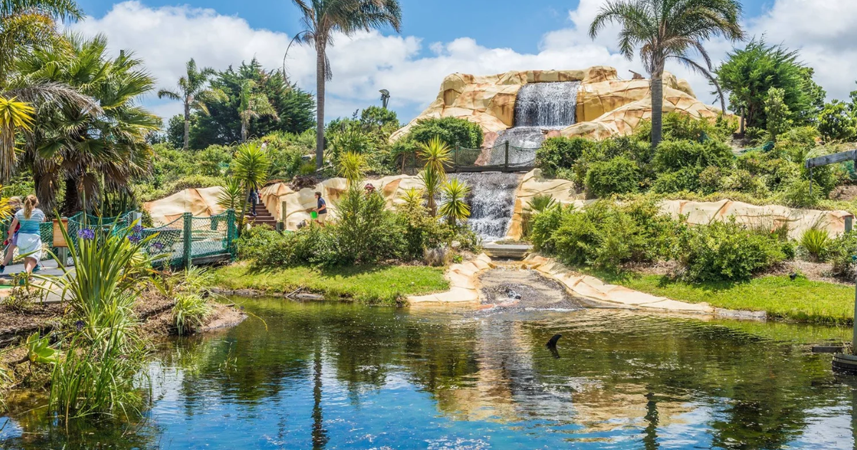 Treasure Island Mini Golf