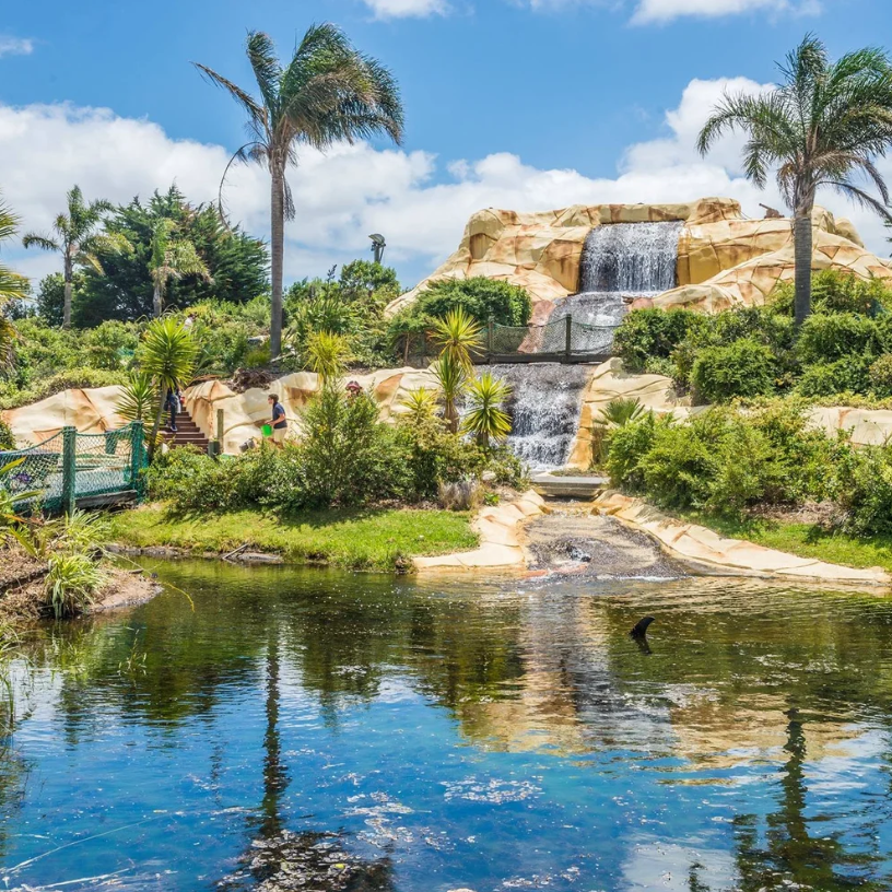Treasure Island Mini Golf