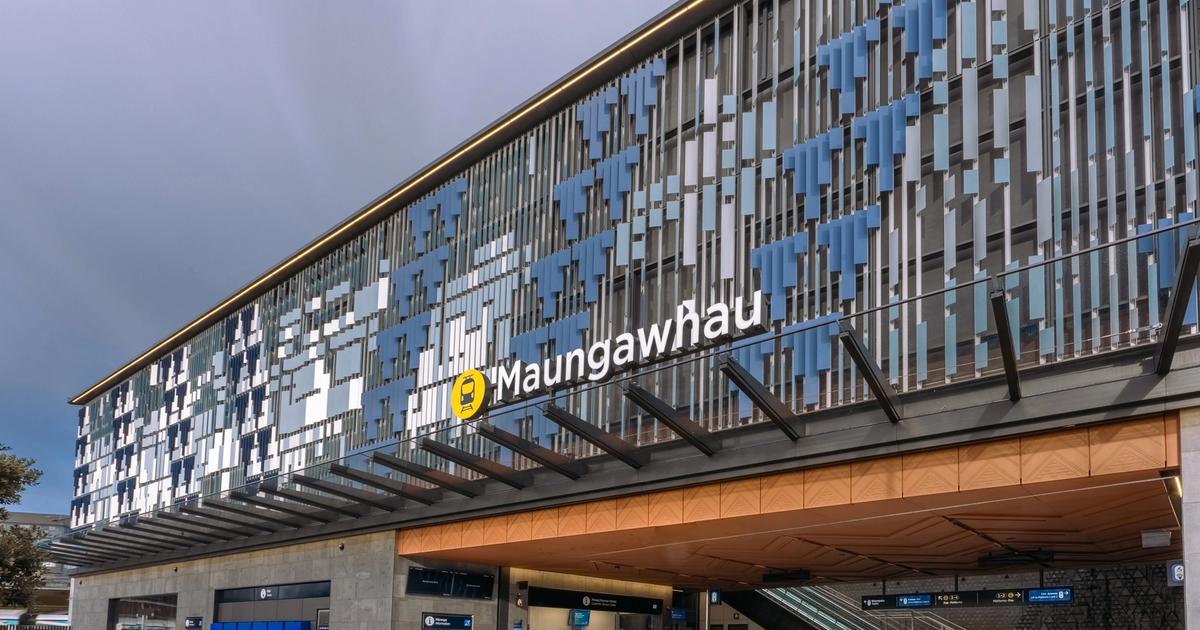 Maungawhau Station First Looks