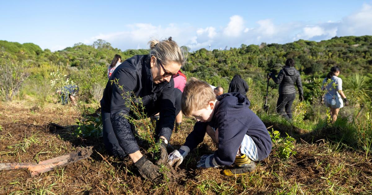 Regional Park Planting Days