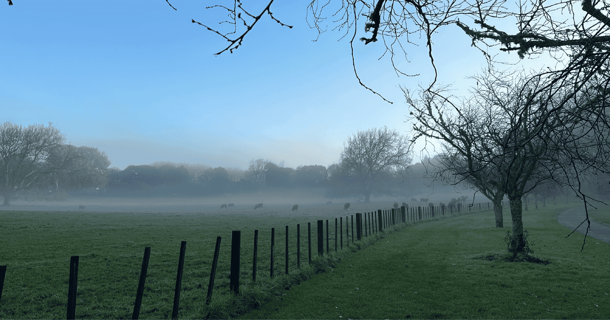 Cornwall Park Winter Scavenger Hunt