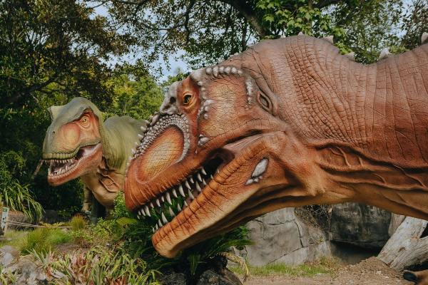 Dinosaurs at Auckland Zoo