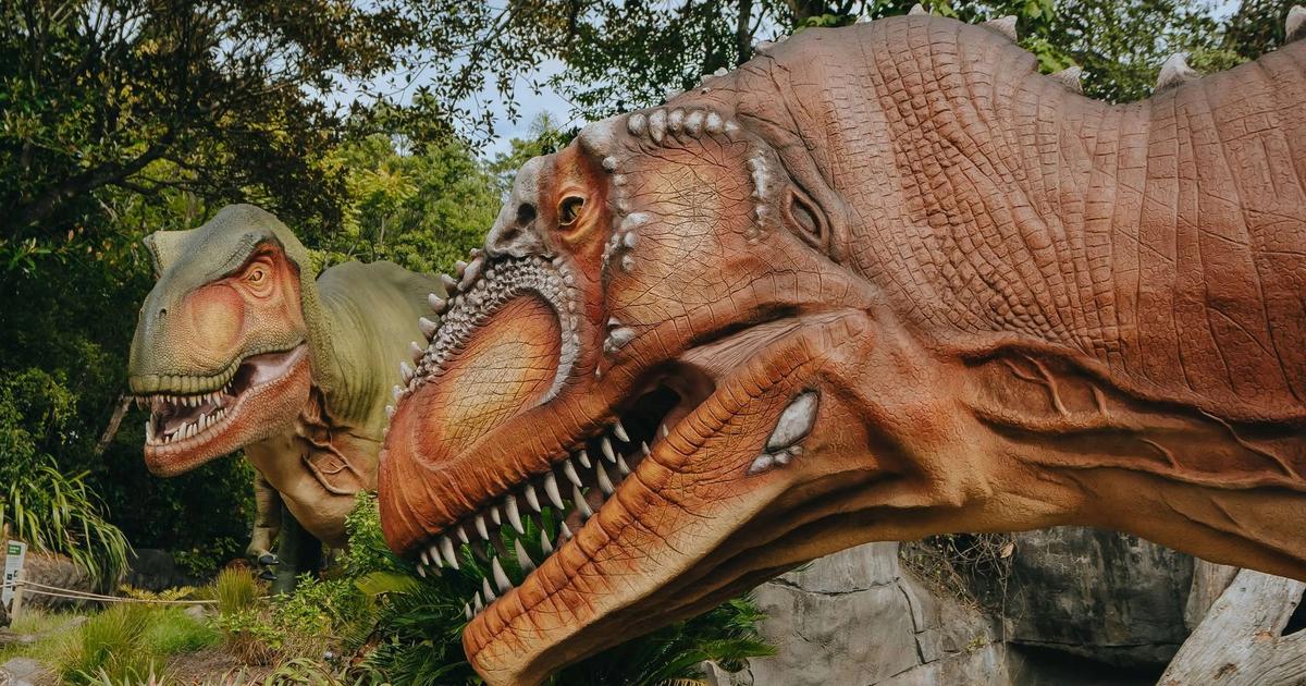 Dinosaurs at Auckland Zoo