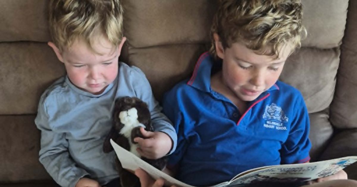 Everybunny Reads