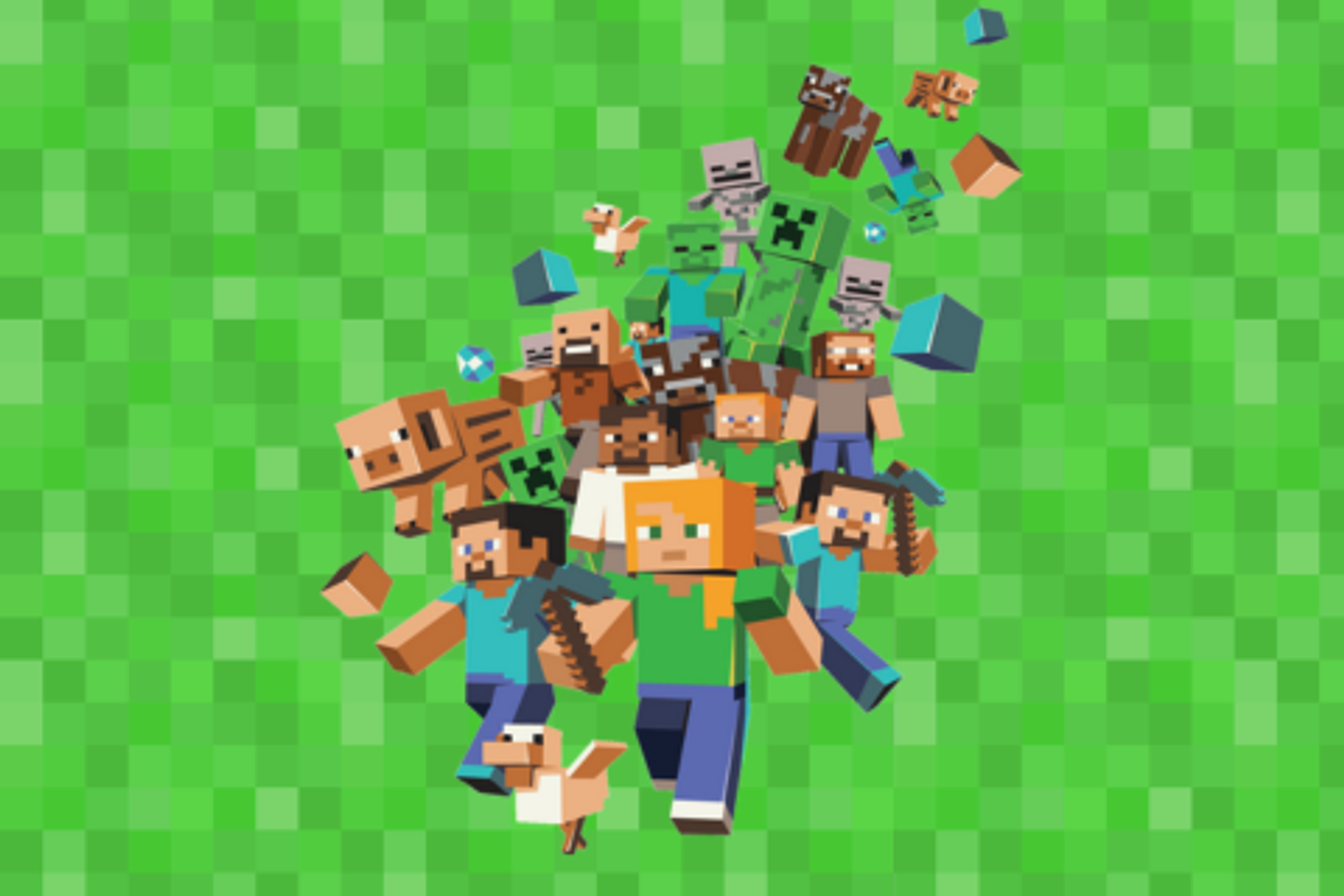 Minecraft Club, Whangaparāoa