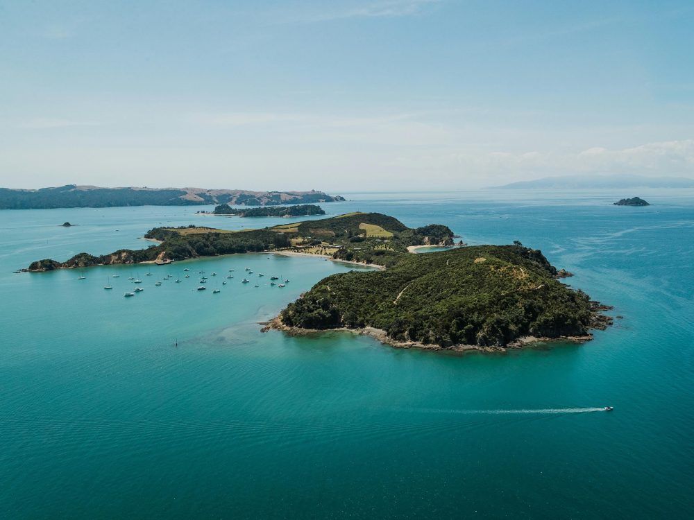 Rotoroa Island Treasure Hunt