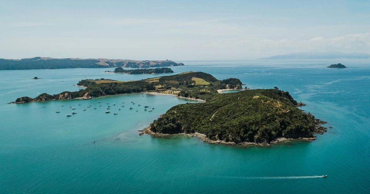 Rotoroa Island Treasure Hunt
