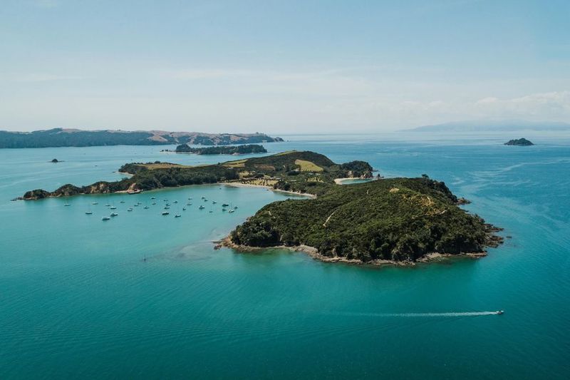 Rotoroa Island Treasure Hunt
