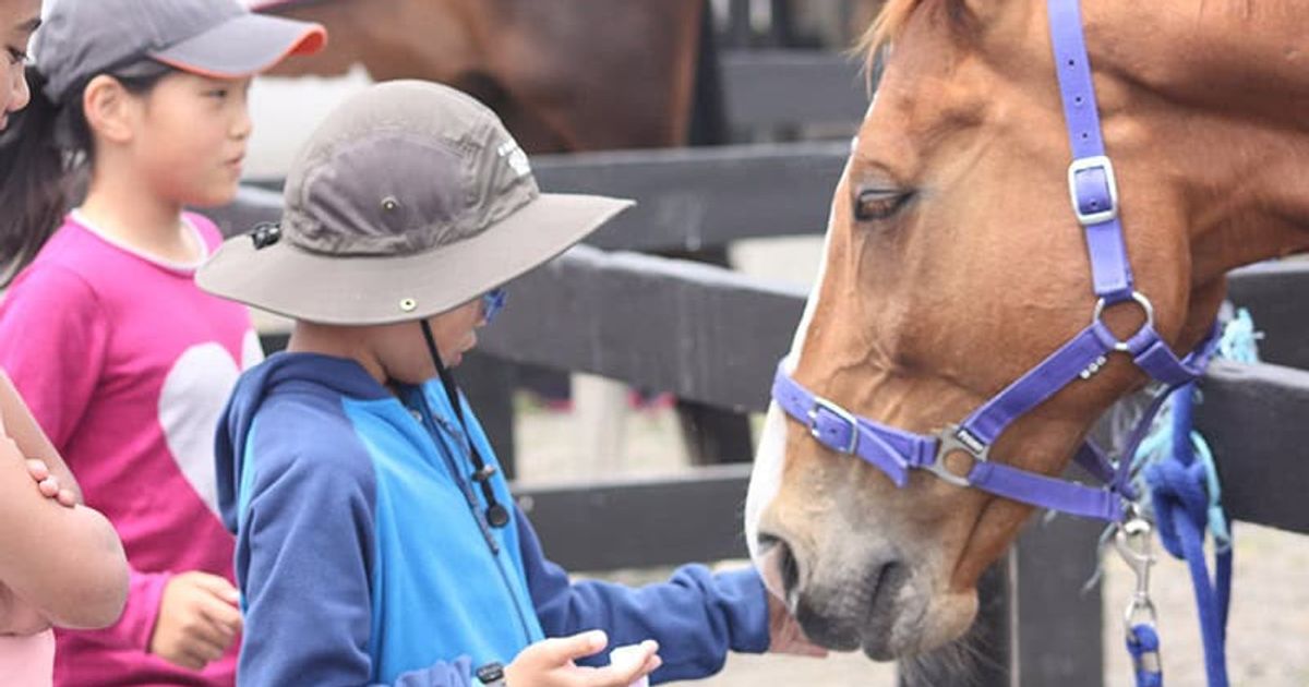 Meadowbank Pony Club Funfair 2026