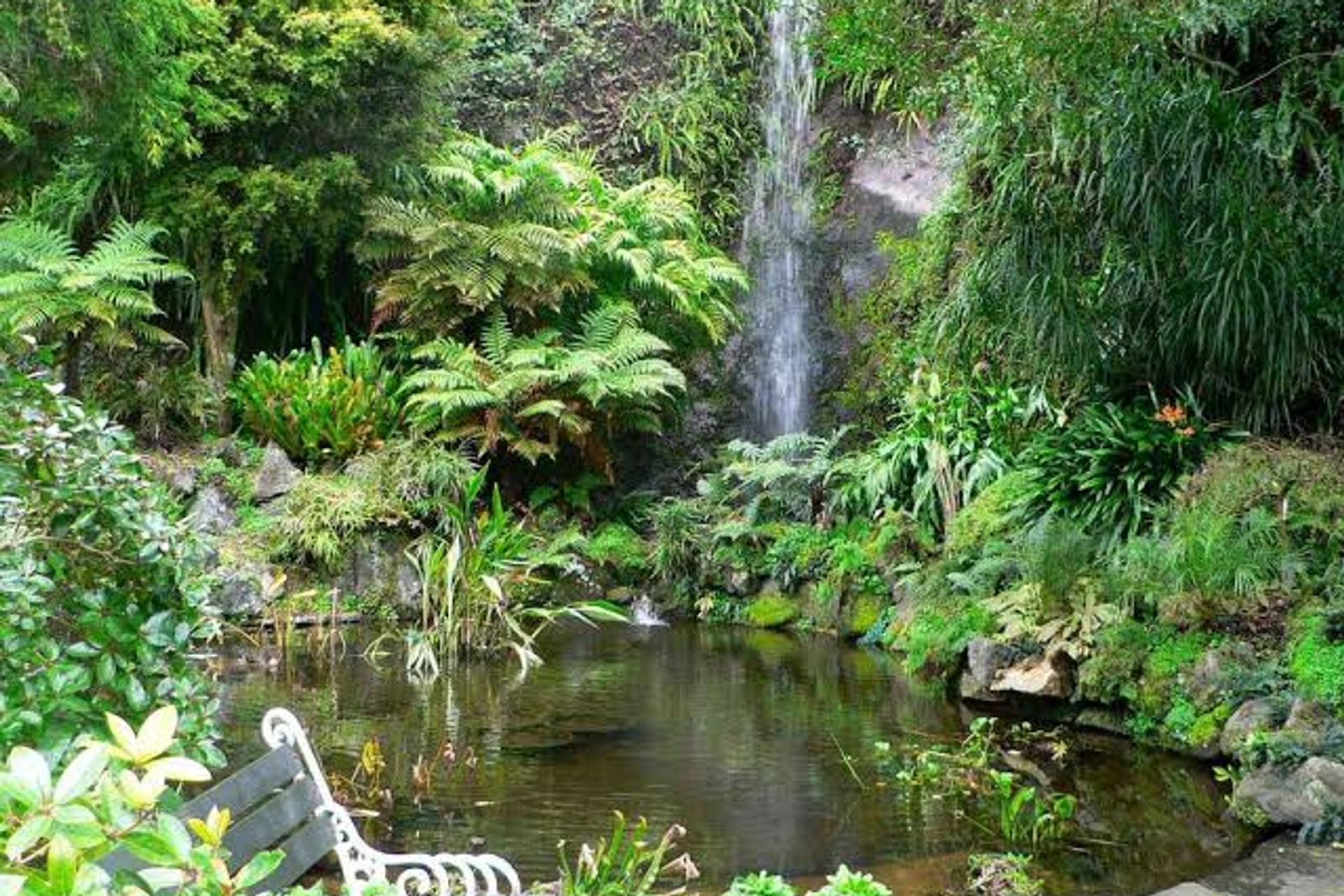 Eden Garden, Epsom
