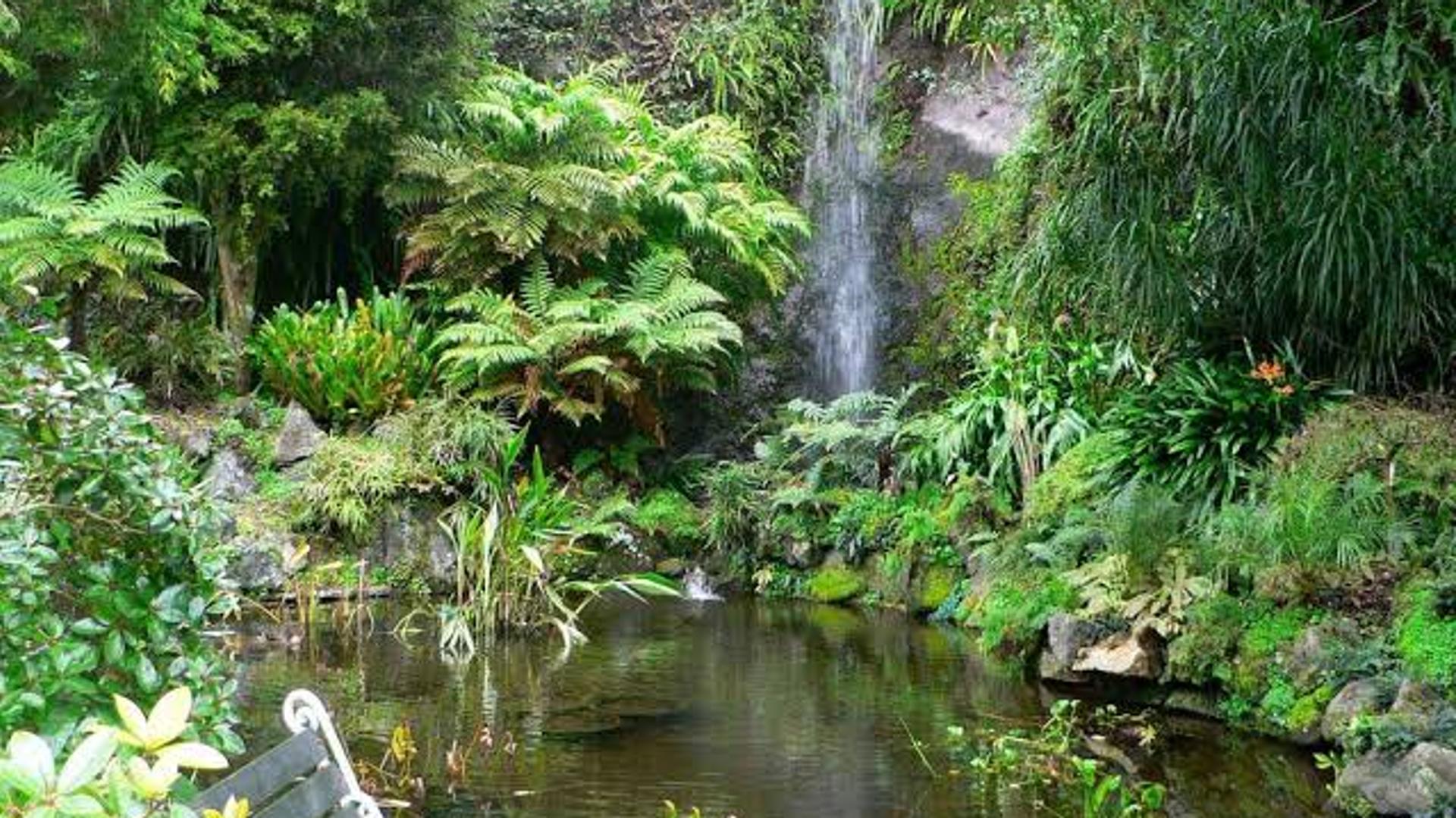 Eden Garden, Epsom