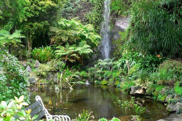 Eden Garden