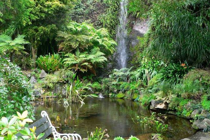 Eden Garden