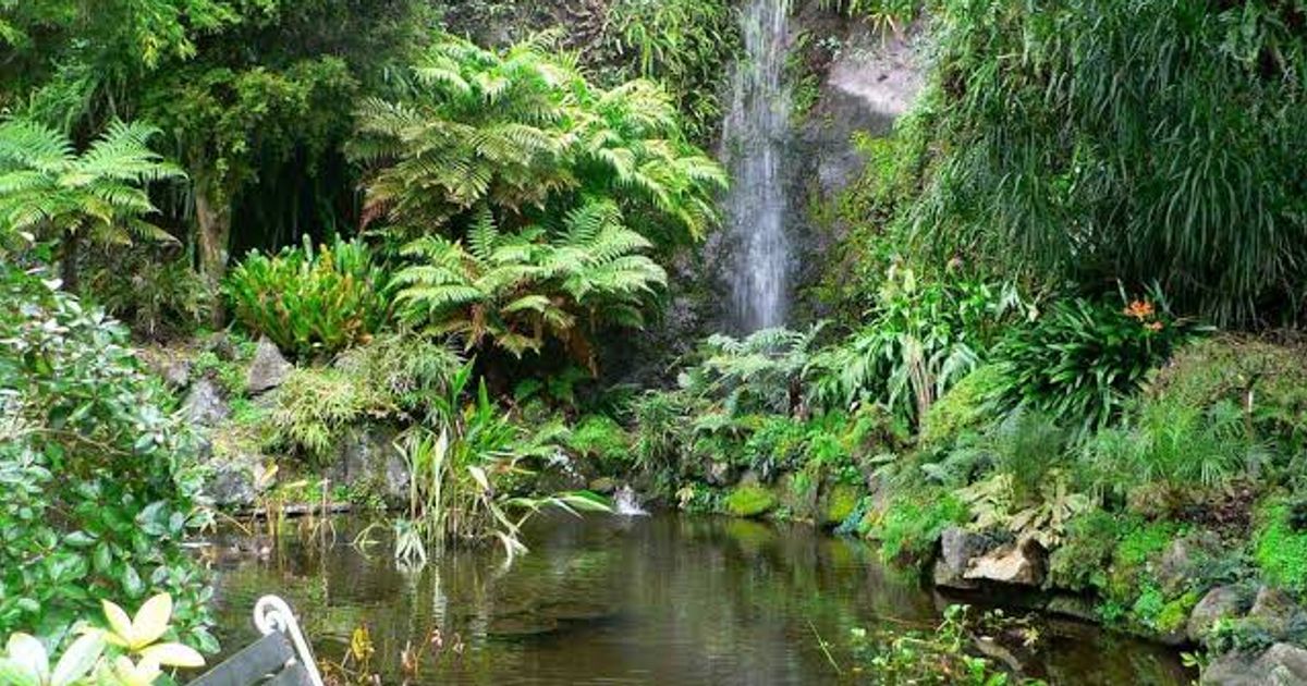 Eden Garden