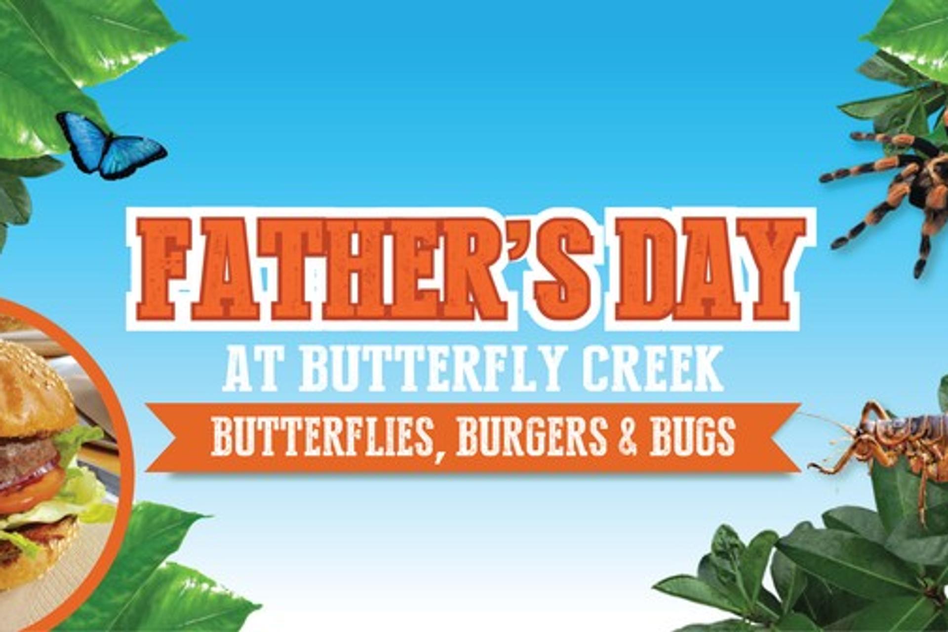 Father’s Day Fun at Butterfly Creek, Māngere