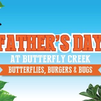 Father’s Day Fun at Butterfly Creek