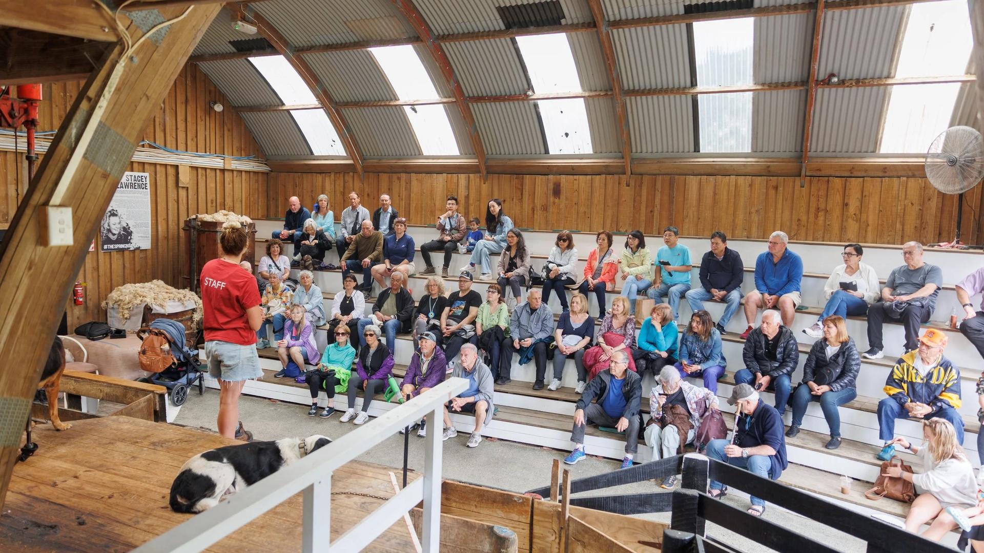 Sheepworld, Warkworth