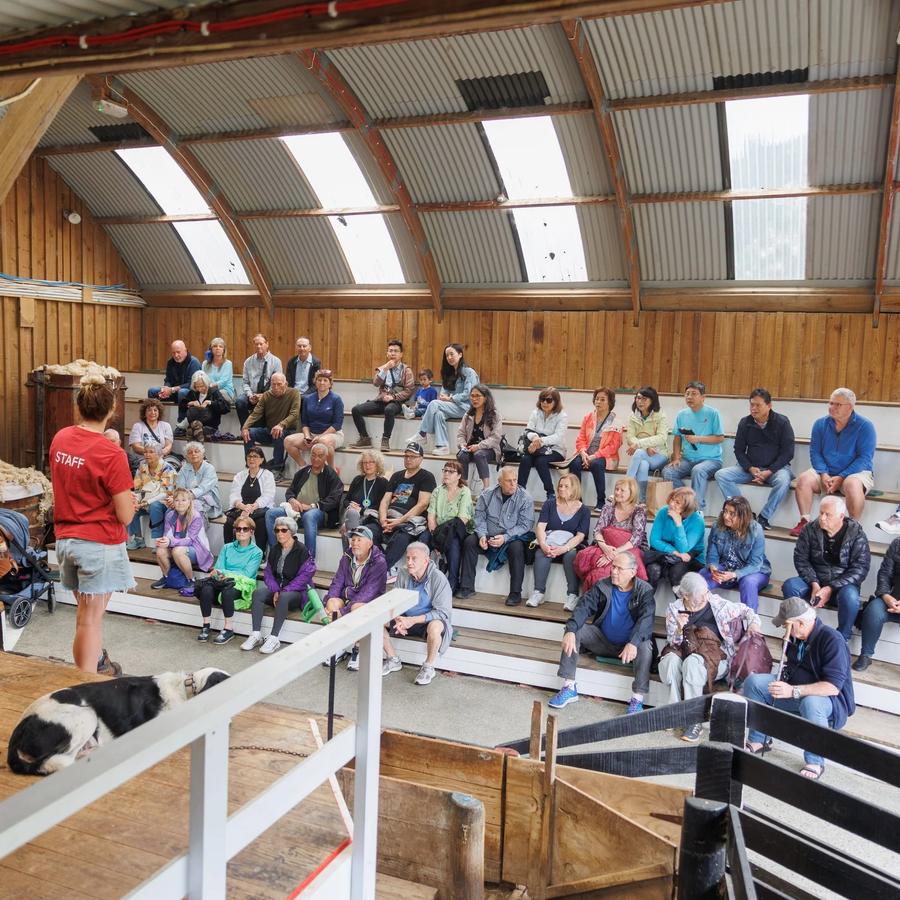 Sheepworld