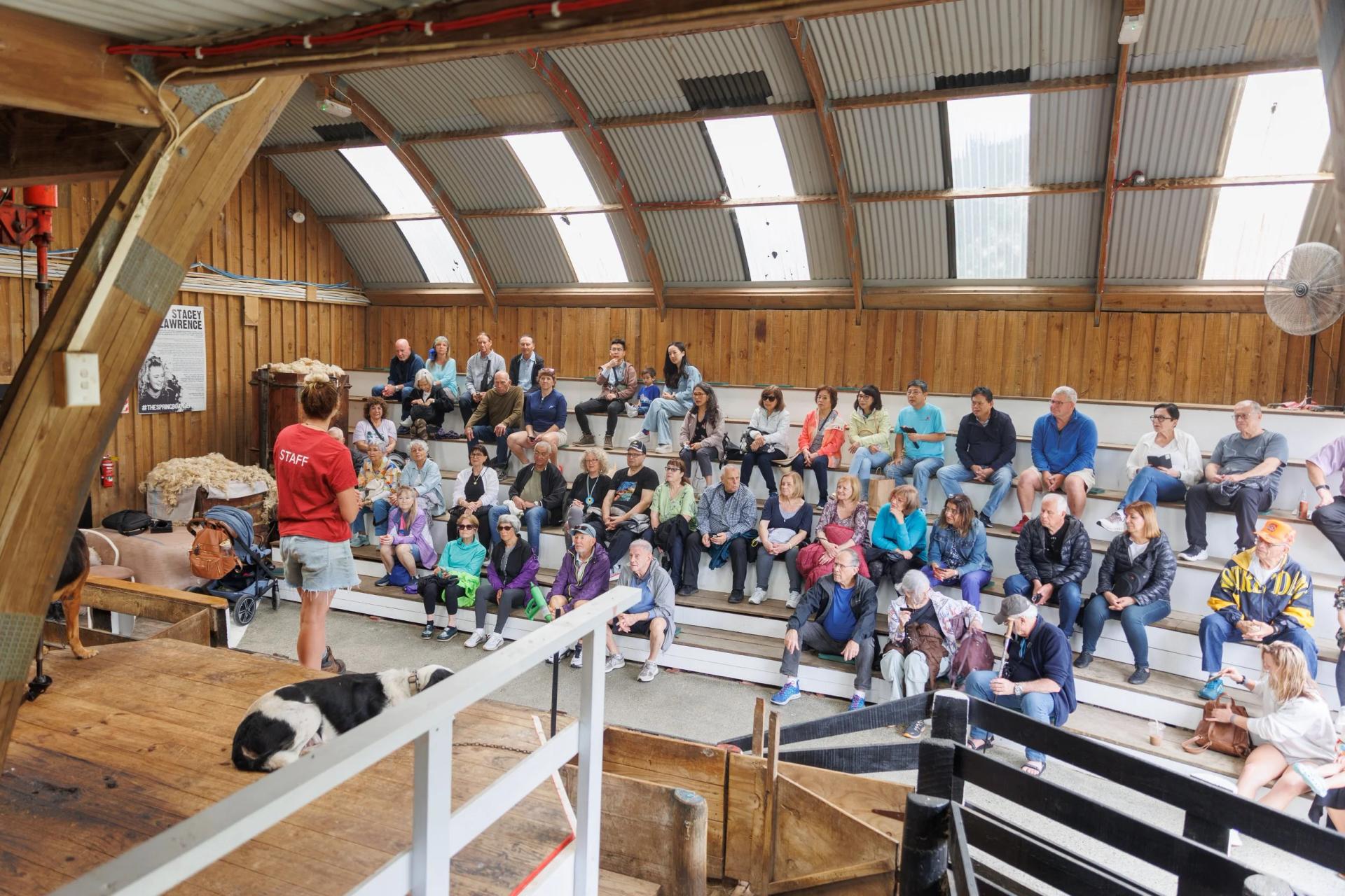 Sheepworld, Warkworth