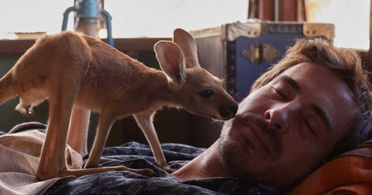 Lopdell Film Festival - Kangaroo