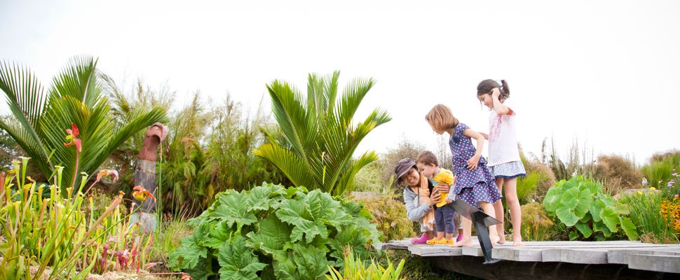 Auckland Botanic Gardens