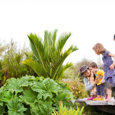 Auckland Botanic Gardens