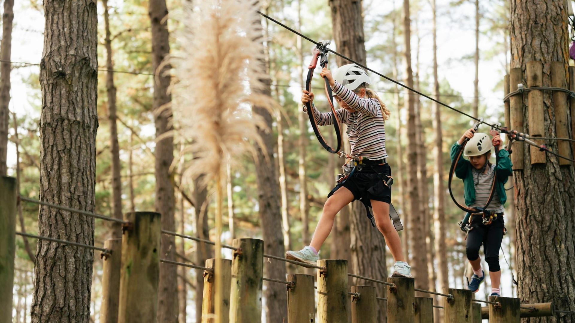 Tree Adventures, Woodhill