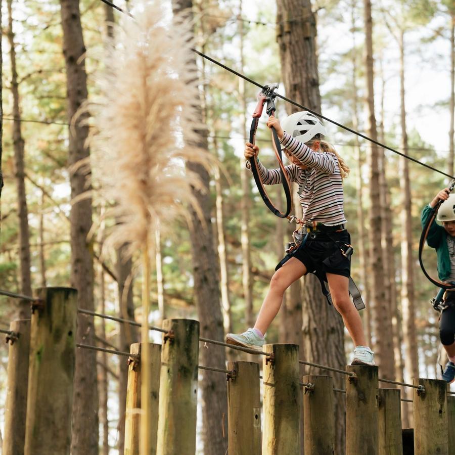 Tree Adventures