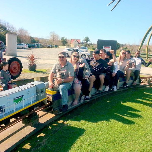 Country Park Express Miniature Train Rides