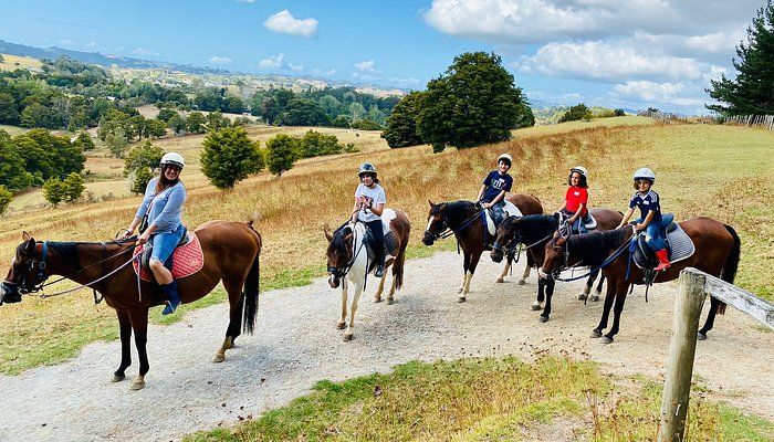 Horse Riding Warkworth