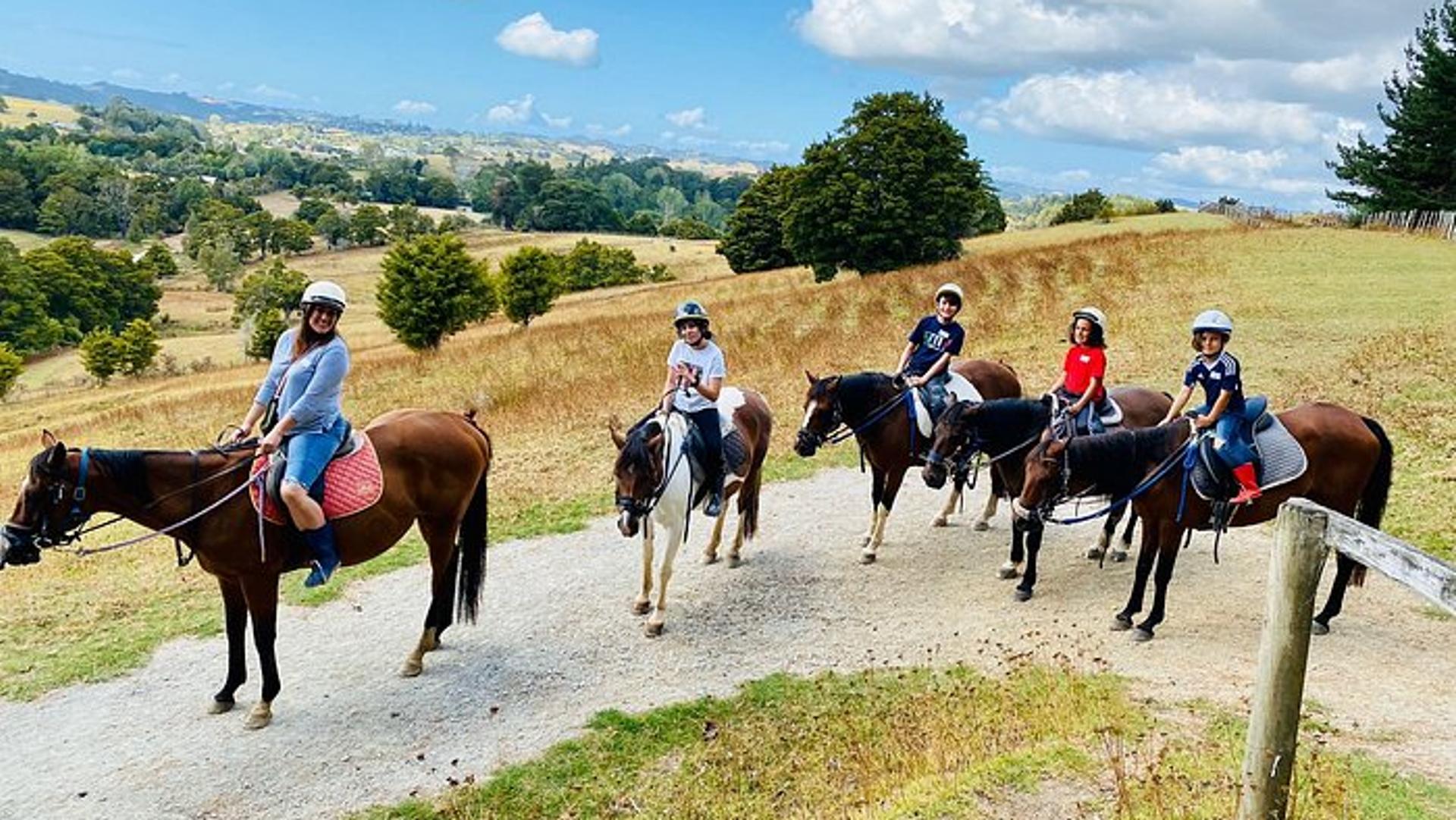 Horse Riding Warkworth, Kaipara Flats