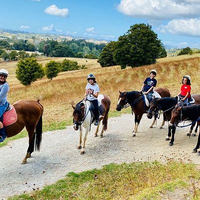 Horse Riding Warkworth