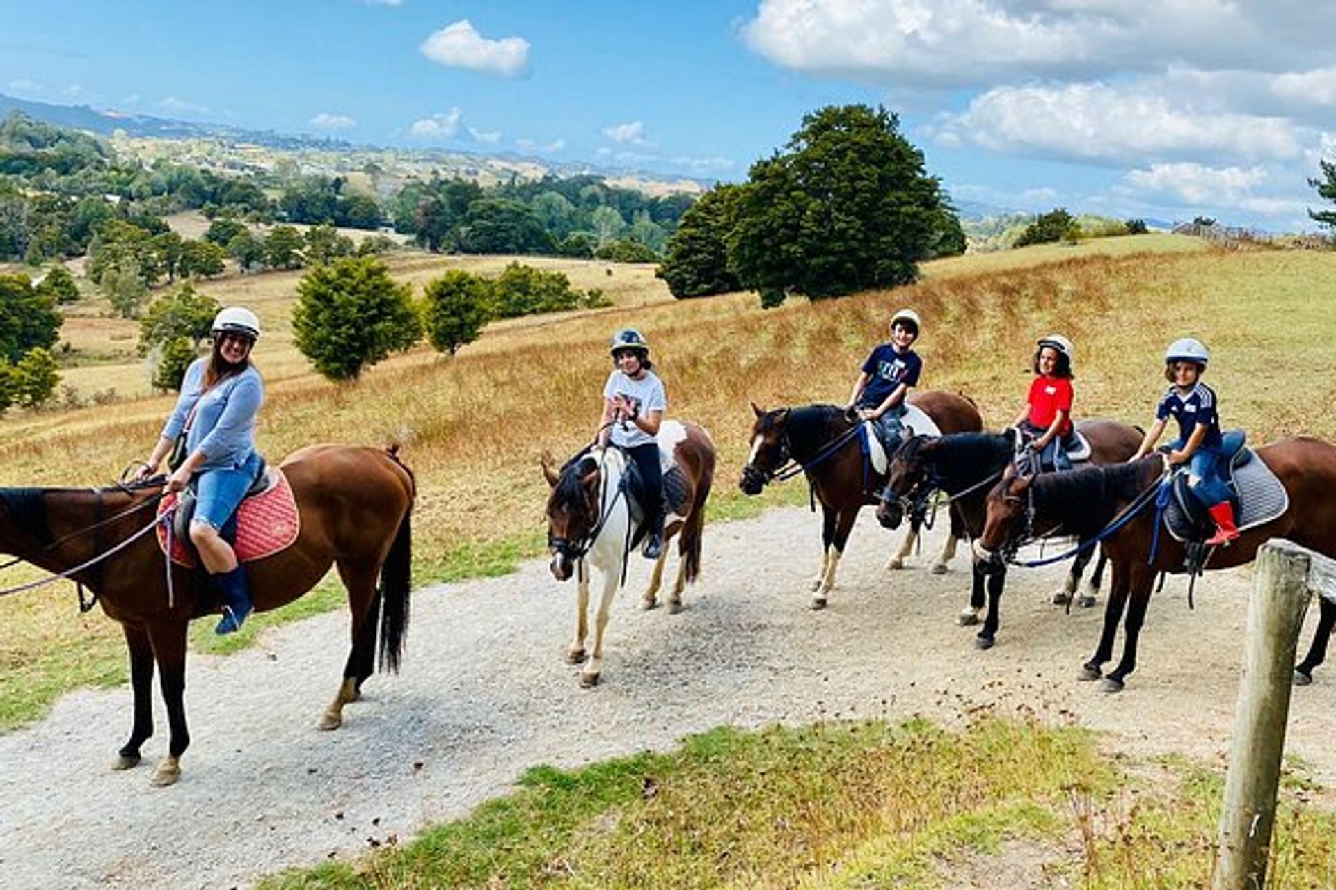 Horse Riding Warkworth, Kaipara Flats