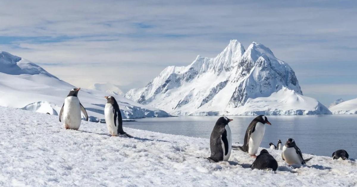 Virtual Visit to Antarctica