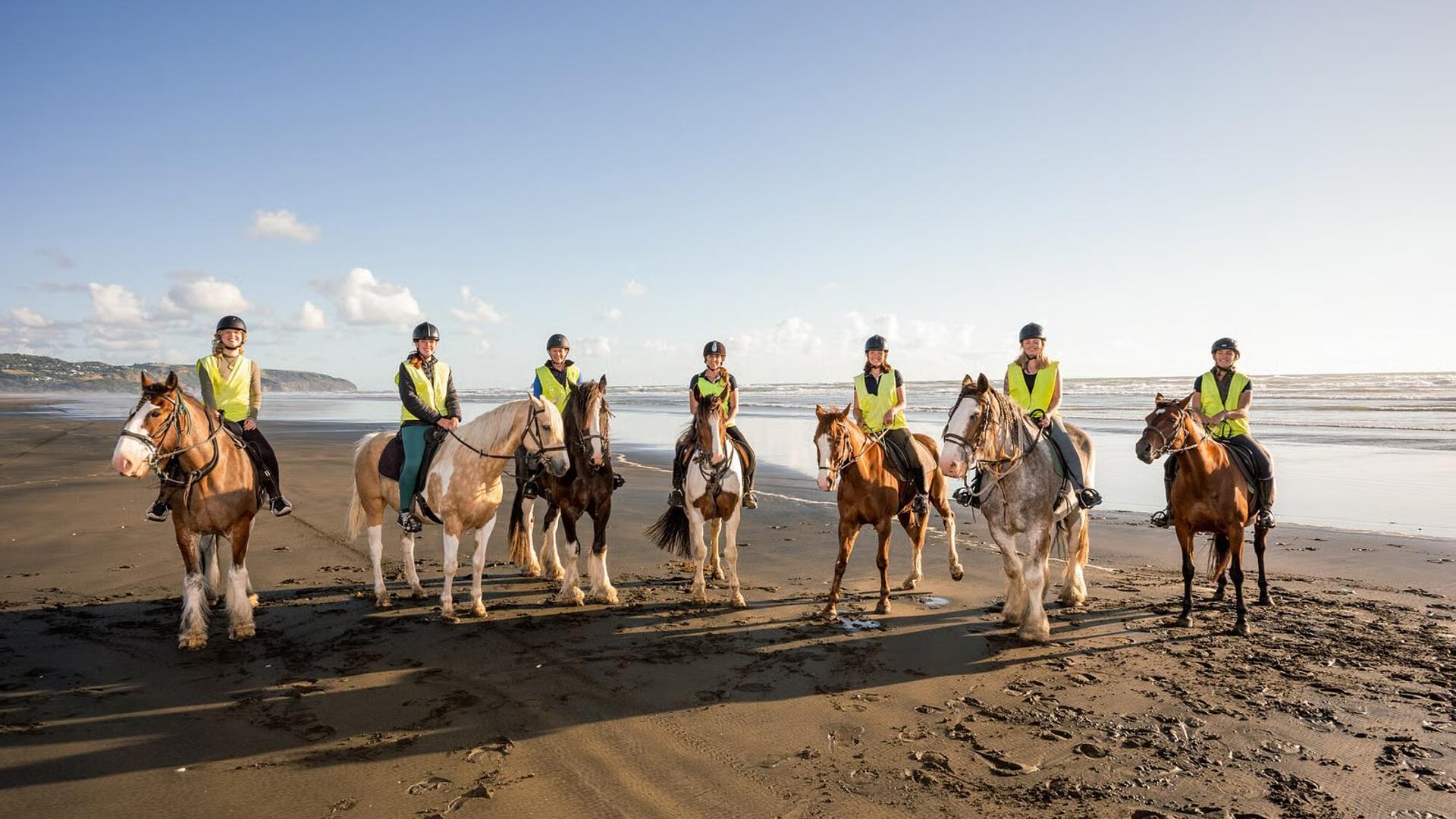 Muriwai Beach Horse Treks, Muriwai