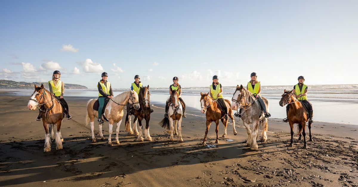 Muriwai Beach Horse Treks