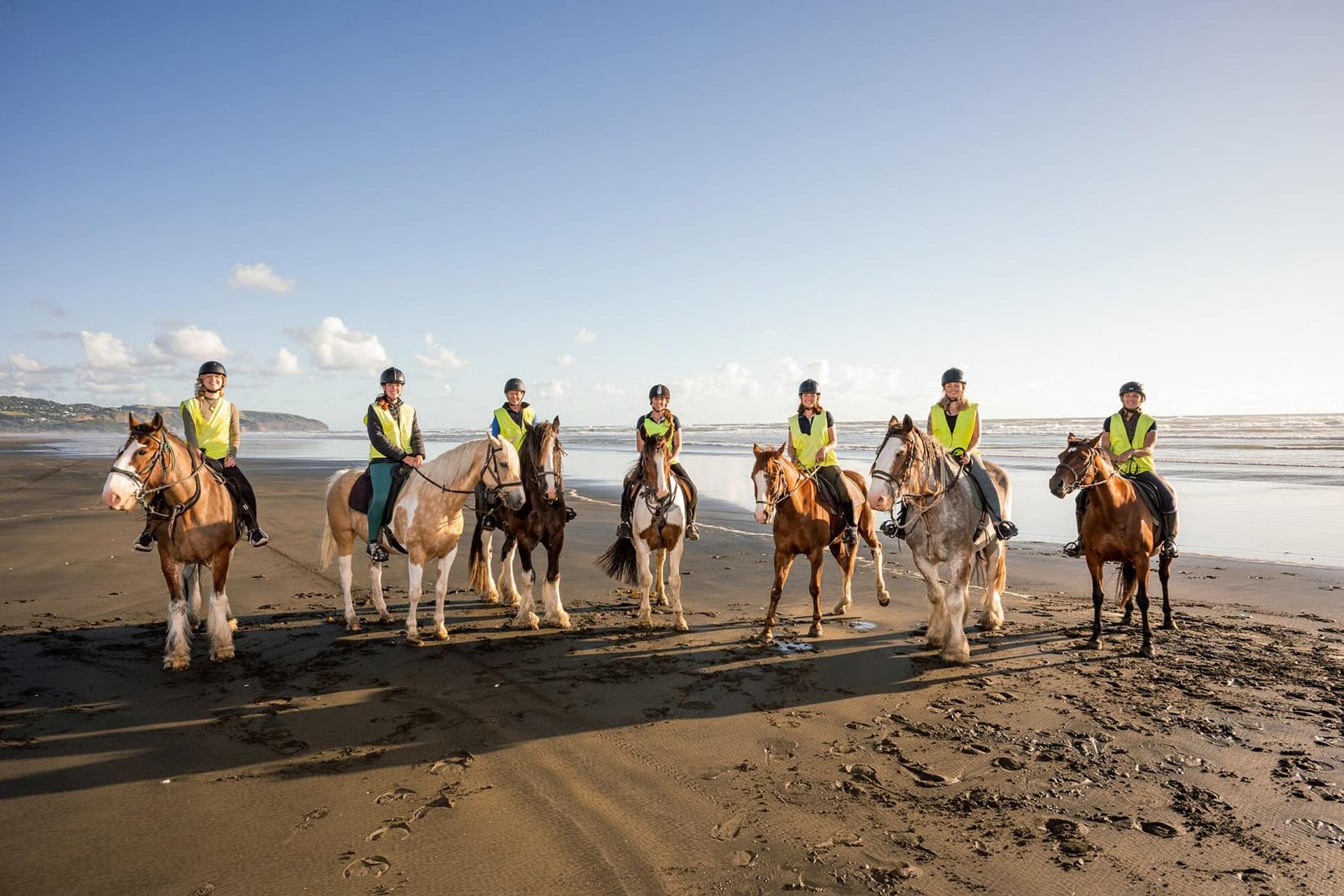 Muriwai Beach Horse Treks, Muriwai