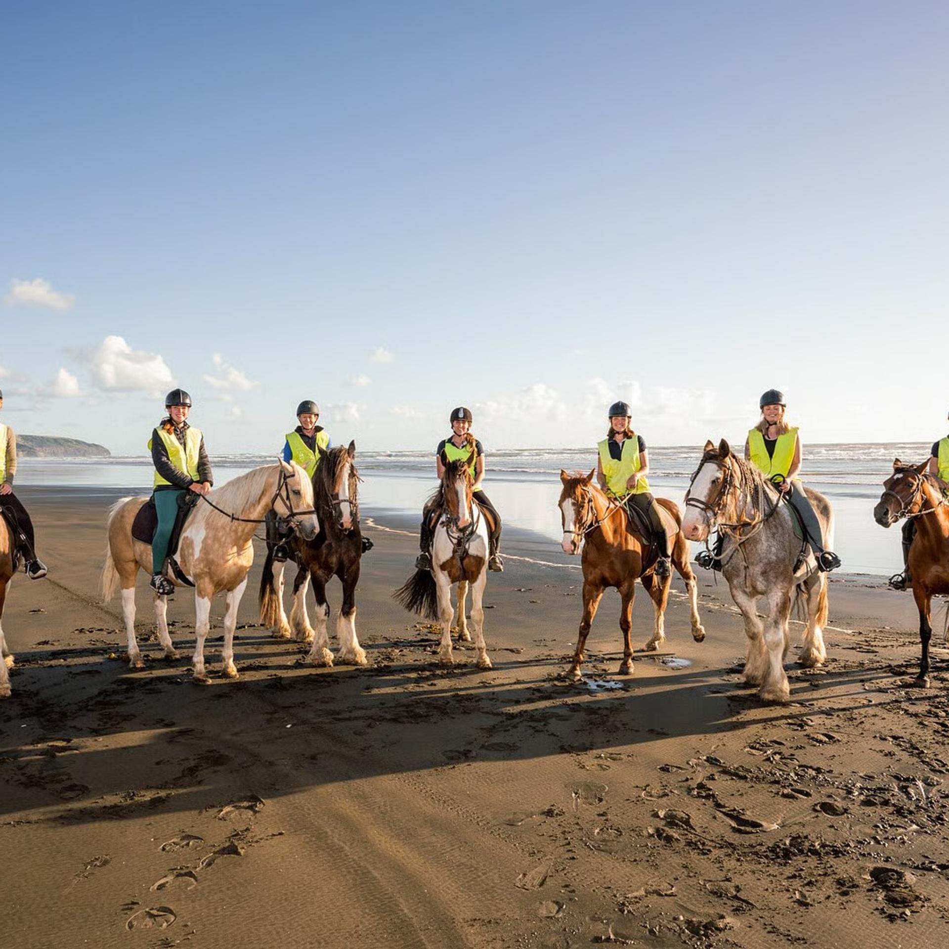 Muriwai Beach Horse Treks, Muriwai