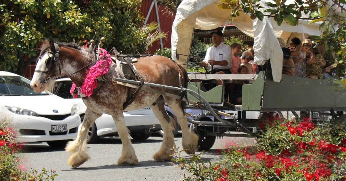 Matakana Carriages