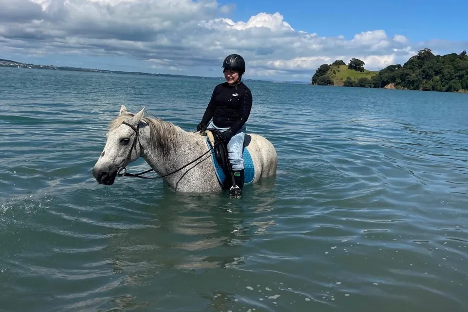 Waiheke Horse tours, Waiheke Island