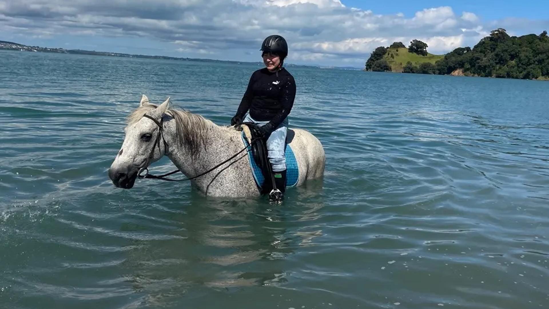 Waiheke Horse tours, Waiheke Island
