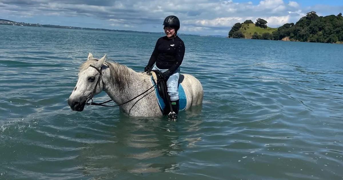 Waiheke Horse tours