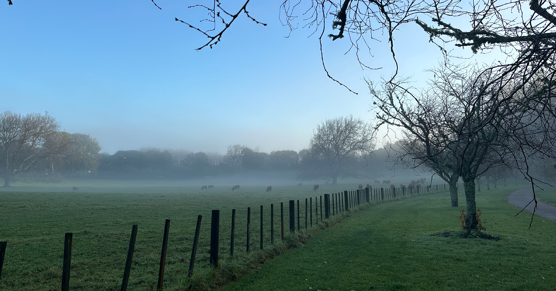 Cornwall Park Winter Scavenger Hunt
