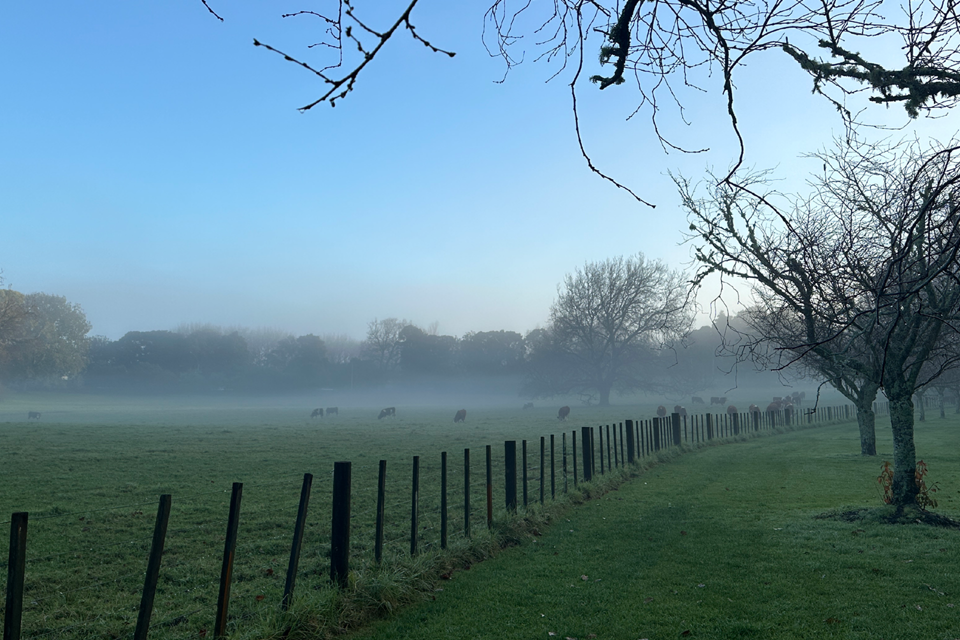Cornwall Park Winter Scavenger Hunt, Epsom