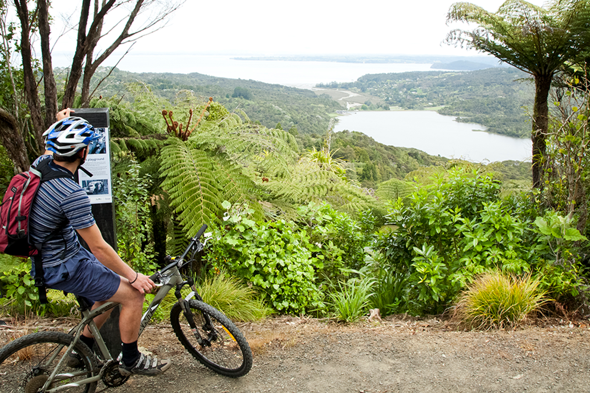 Trails for Trees: Whānau Fun Day, Waitākere