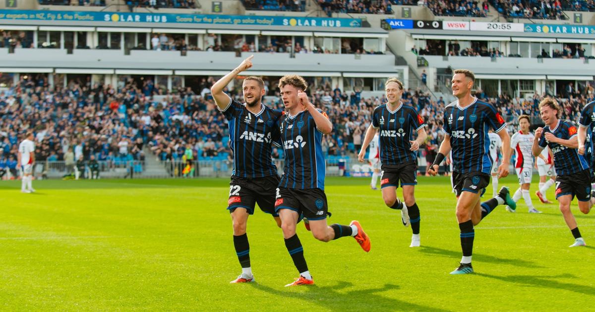 New Zealand International Football Festival Hub
