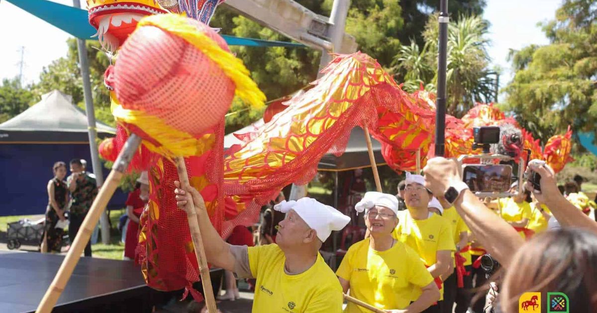 Whau Dragon Boat Festival
