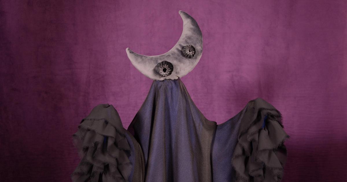 Craft a Puppet Creature: Pakūranga Library
