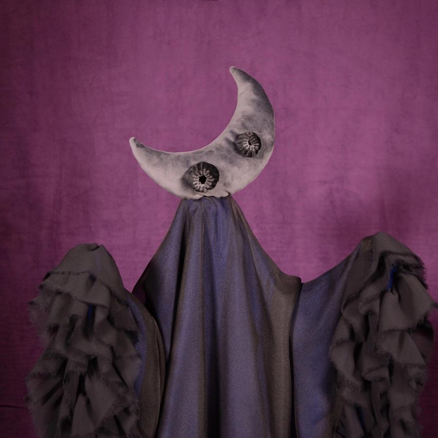 Craft a Puppet Creature: Pakūranga Library