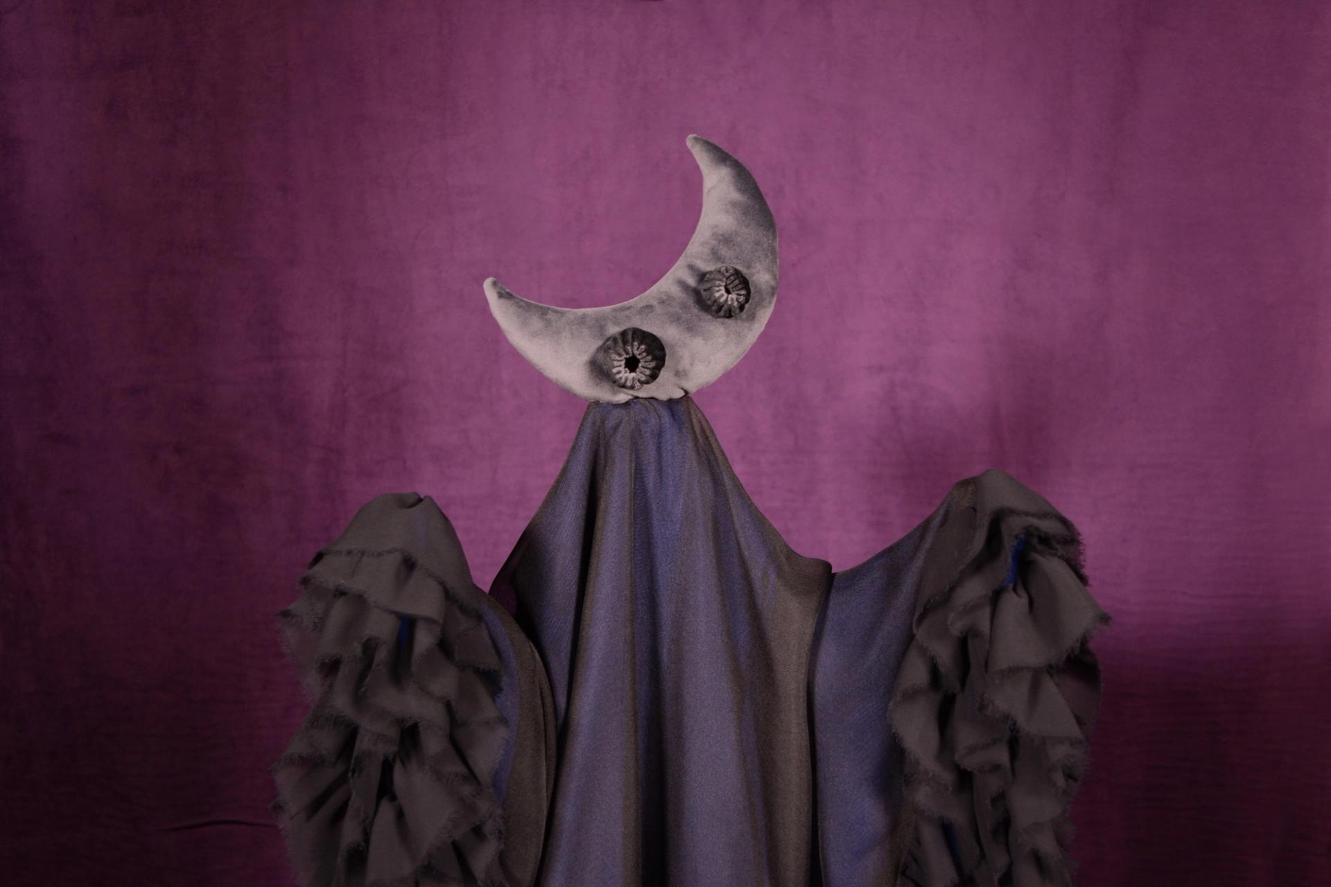 Craft a Puppet Creature: Pakūranga Library, Pakuranga
